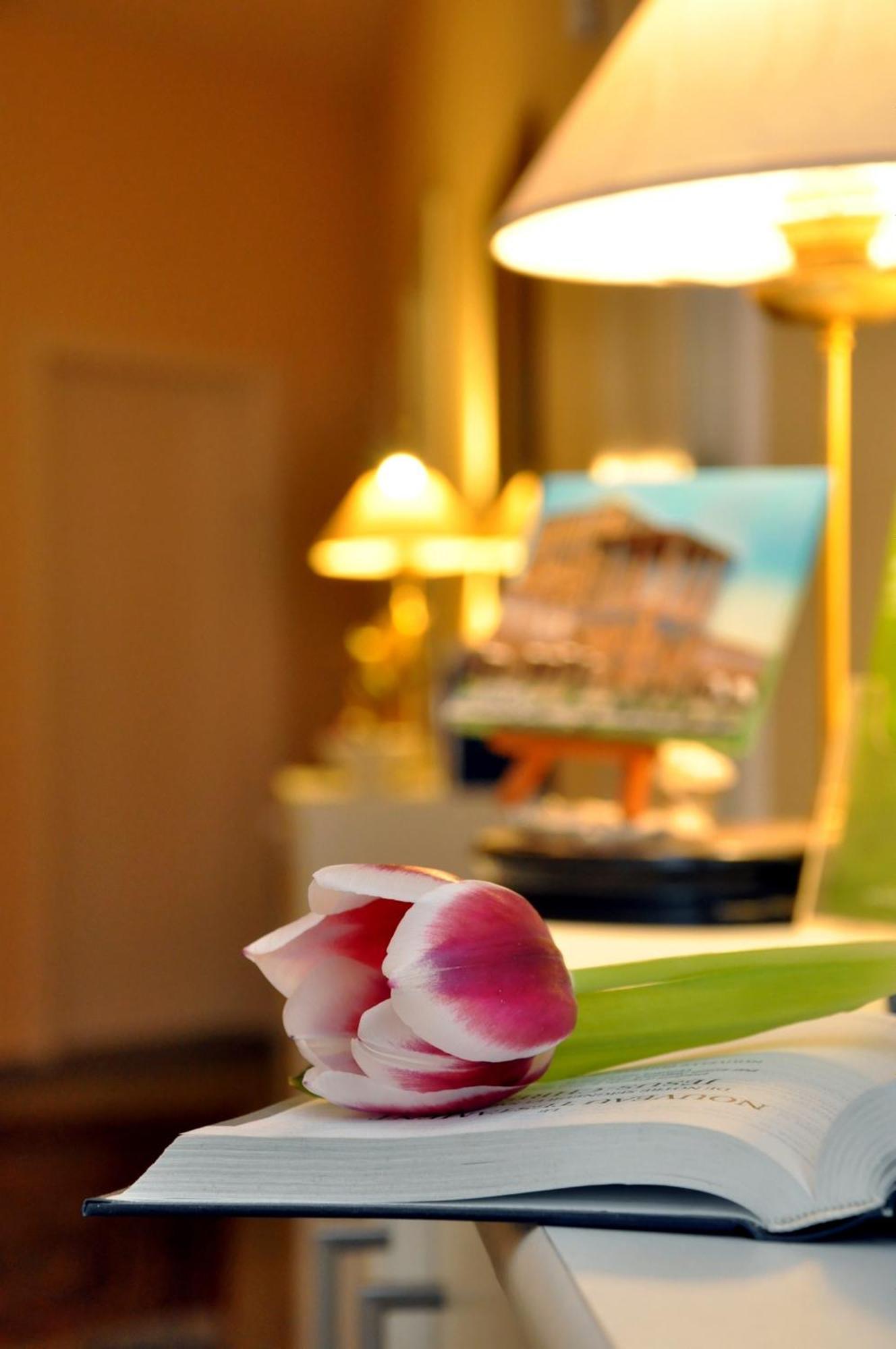 Hotel Apadana Frankfurt Frankfurt am Main Dış mekan fotoğraf
